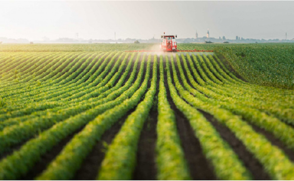 Precision Planting